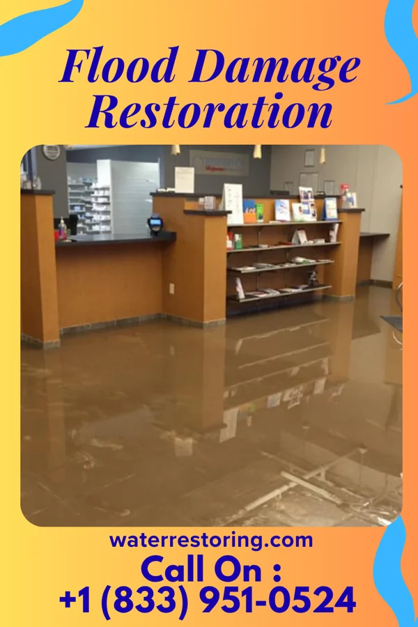 Flood Damage Restoration in Diamondhead, MS