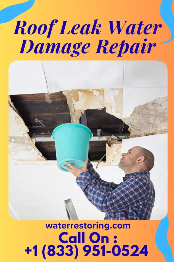 Roof Leak Water Damage Repair in Diamondhead, MS