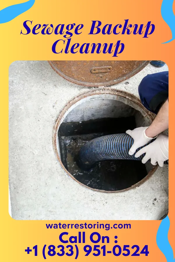 Sewage Backup Cleanup in Diamondhead, MS
