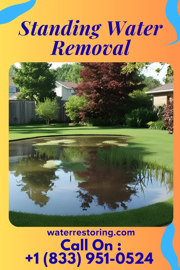 Standing Water Removal in Diamondhead, MS